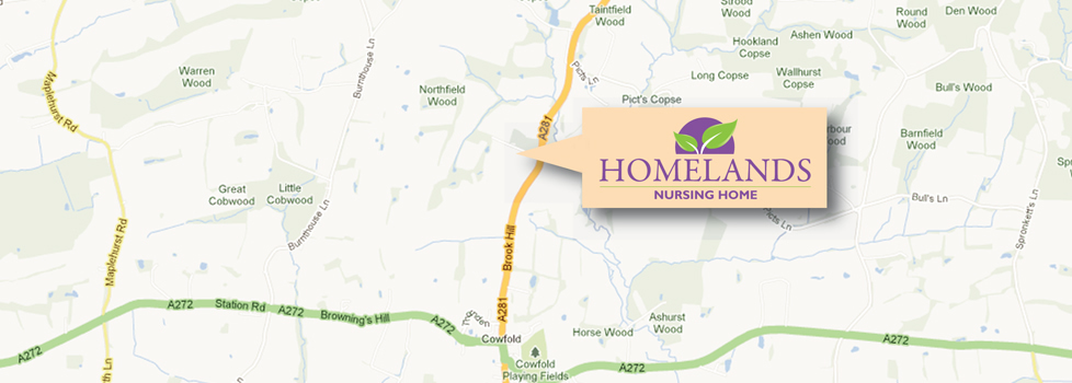 Homelands Nursing Home, Horsham Road, Cowfold, West Sussex, RH13 8AJ